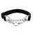 Cargo Pet Chain Collar Anti-dog